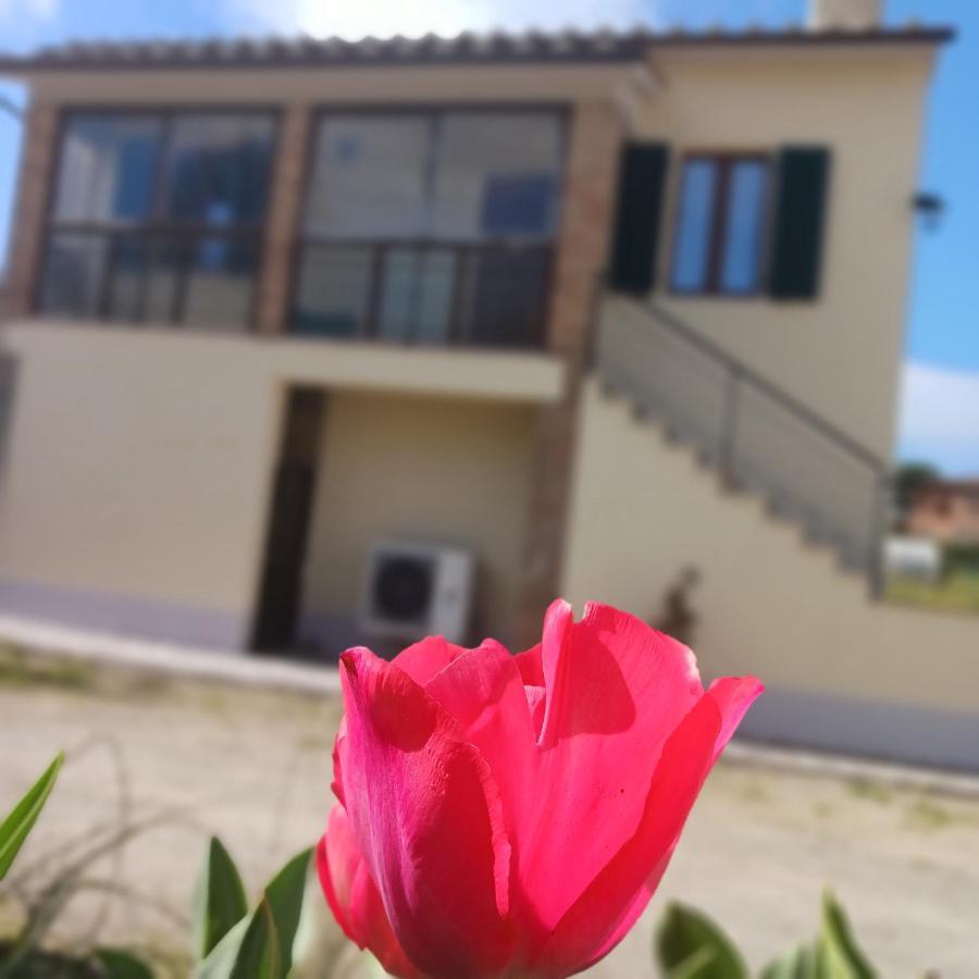Casa Di Zio Villa Monticiano Exterior photo
